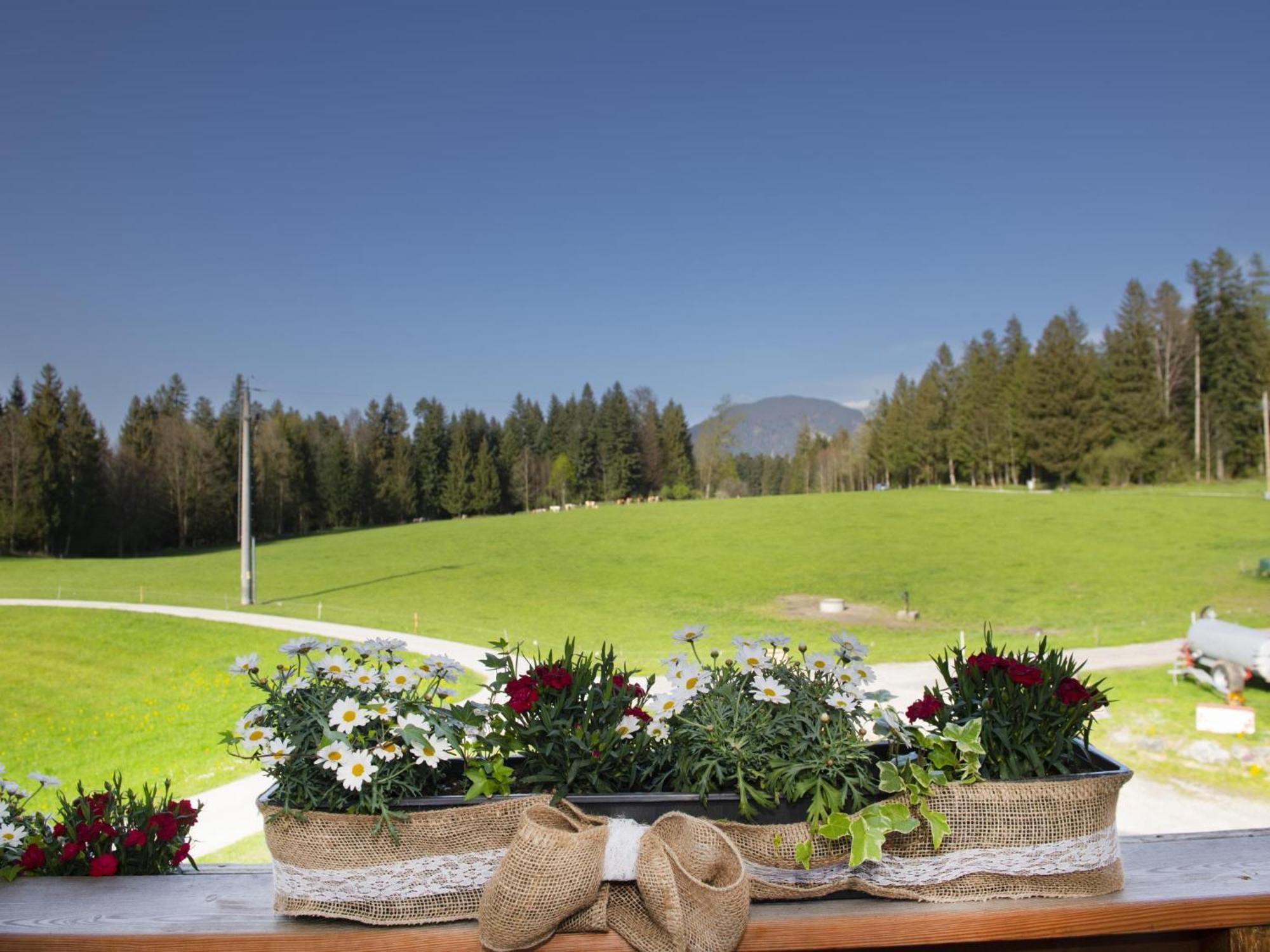 Apartamento Auszeit Am Bauernhof Schwoich Exterior foto